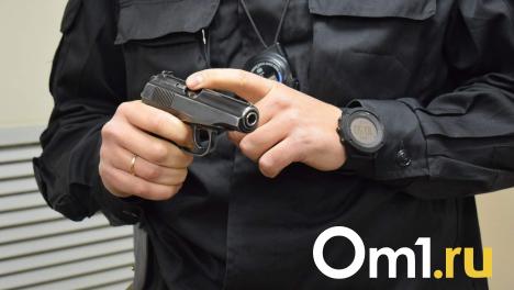 Омича поймали на контрабанде военной продукции в Приморском крае