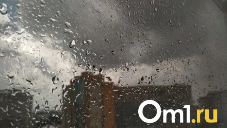 Вильфанд предупредил о похолодании в Омской области до +6