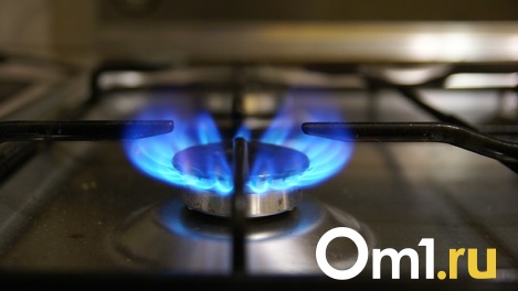 «К сетям подключено больше двух тысяч абонентов»: Бурков о ситуации с газом на севере Омской области