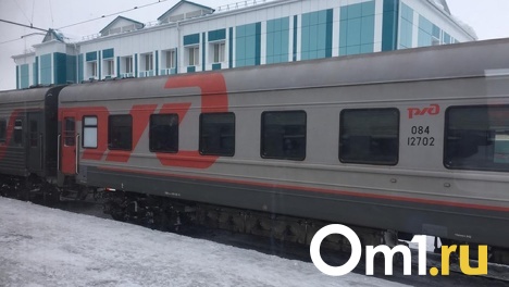 В поезде «Новый Уренгой — Новосибирск» мужчина демонстрировал девочке половой орган