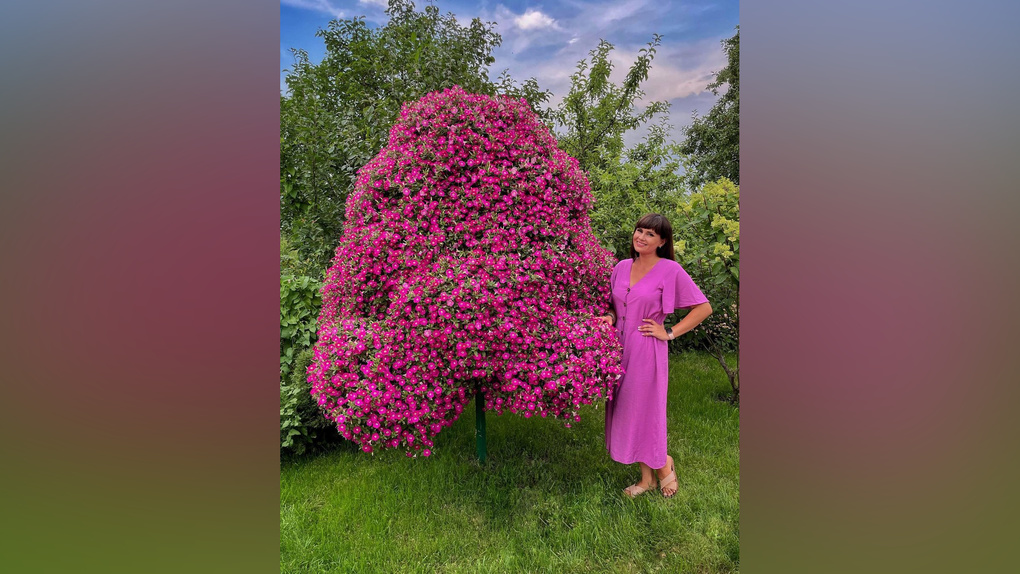 Экс-жительница Новосибирска прославилась в сети благодаря деревьям из петуний