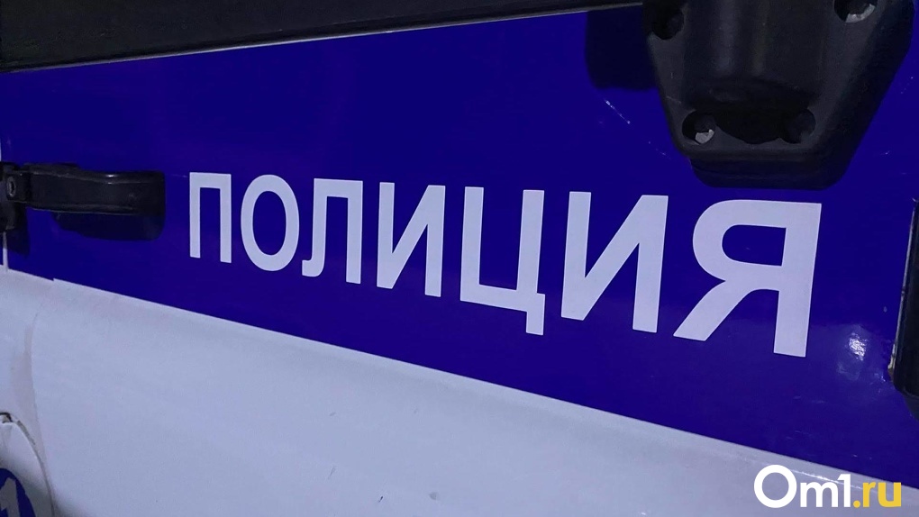Полиция начала проверку нападения на заступившихся за девушку студентов после публикации портала Om1.ru