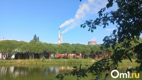 Пыль и фенол отступают: синоптики прогнозируют чистый воздух в Омске на ближайшие выходные