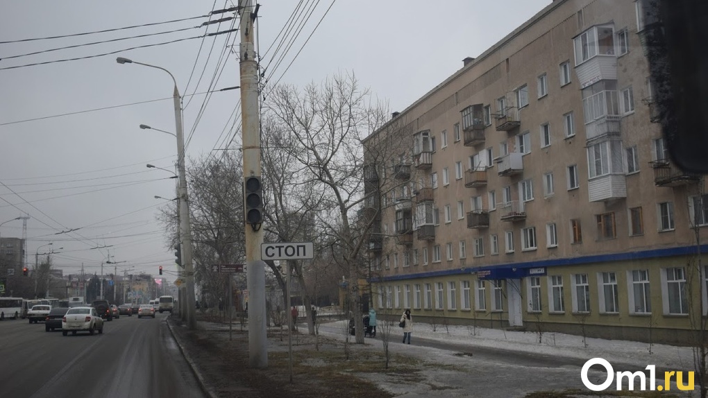 «У всех коронавирус, а у нас эпидемия падающих столбов»: в Омске рухнул на проезжую часть еще один столб