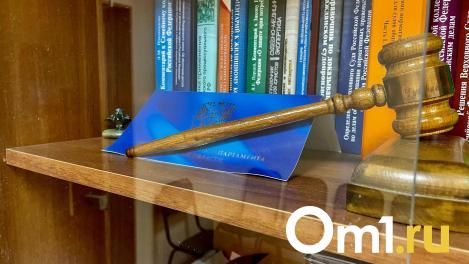 Дело пьяного водителя, сбившего ребёнка на санях в Омской области, рассматривают в суде