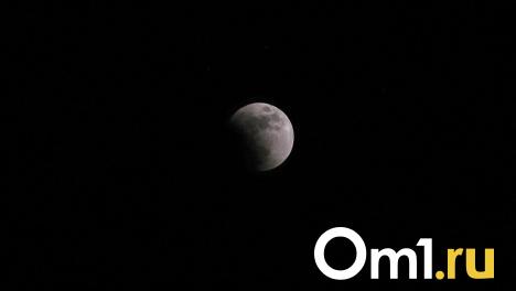 В Омской области 69-летний пенсионер провёл ночь в лесу