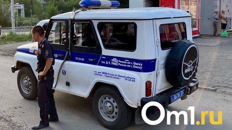 18-летний студент техникума устроил ночную драку и сломал взрослому омичу кости лица