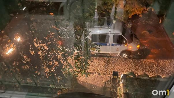 Казахстан будет выдавать омичей, подлежащих мобилизации и объявленных в розыск