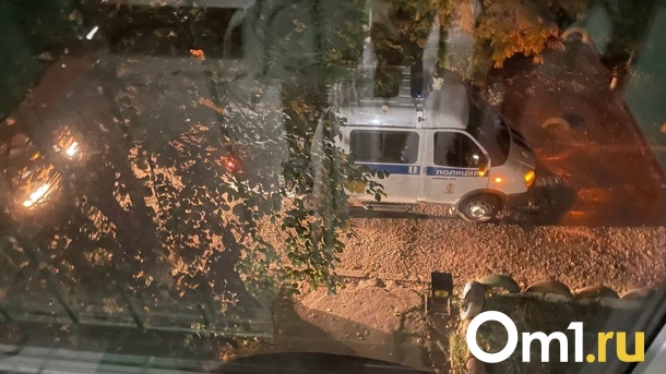 Казахстан будет выдавать омичей, подлежащих мобилизации и объявленных в розыск