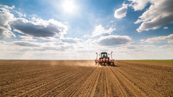 Россельхозбанк на 21% нарастил поддержку АПК Омской области