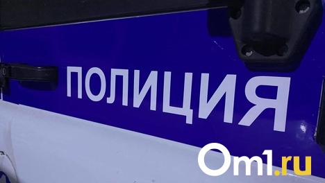 Стала известна причина массовых задержаний молодых людей в центре Новосибирска