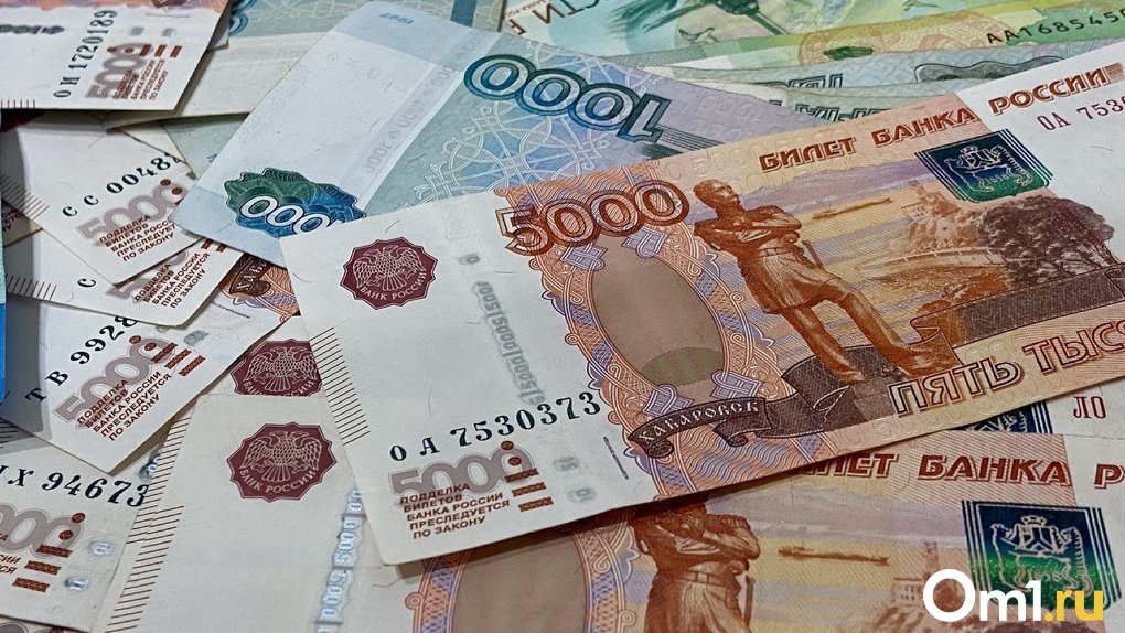 Под Новосибирском суд взыскал с дома-интерната 2,5 млн рублей за смерть пенсионера-инвалида