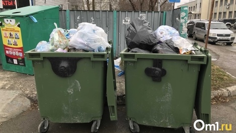 Ненужный норматив? Эксперт в сфере ЖКХ объяснил, почему омичам пока не стоит ждать снижения тарифов на мусор
