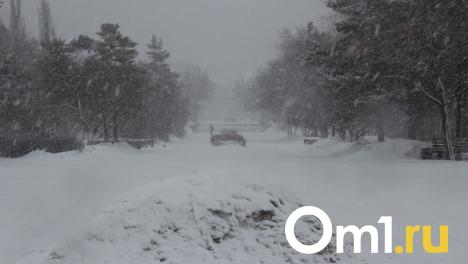 Говорят, что нынешней зимой выпало аномально много осадков. Это правда?
