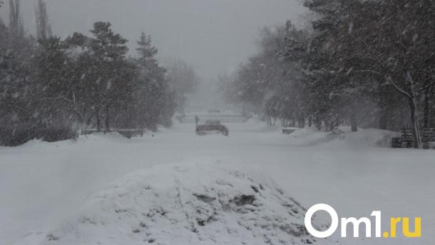 Говорят, что нынешней зимой выпало аномально много осадков. Это правда?