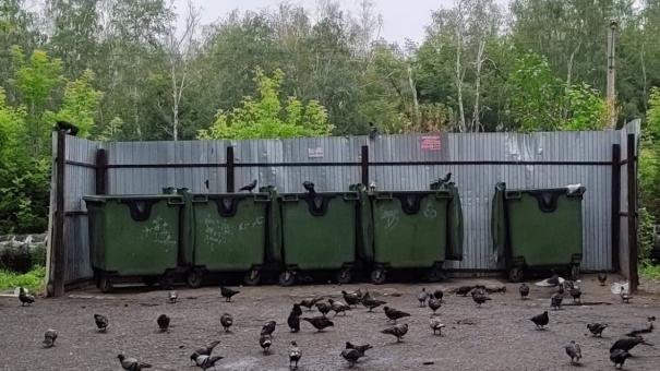 Какие отходы нельзя выбрасывать в контейнеры?