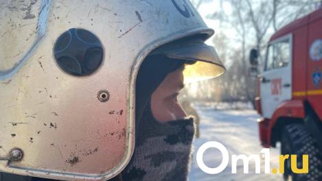 На дачах под Омском в пожаре погибли двухлетние малыши и их бабушка