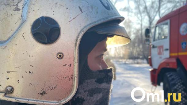На дачах под Омском в пожаре погибли двухлетние малыши и их бабушка