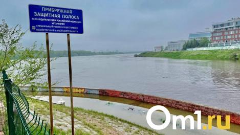 Иртыш выходит из берегов: в Омске затопило набережную