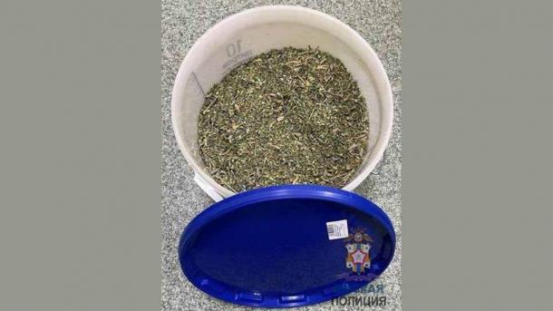 Двое омичей арендовали офис на Левобережье, чтобы хранить марихуану