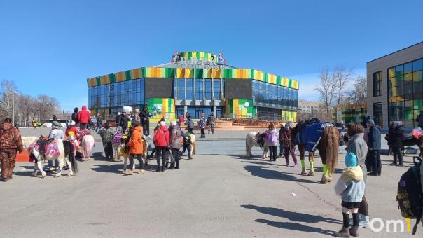 Сотрудница охраны омского цирка ударила пони с ребёнком