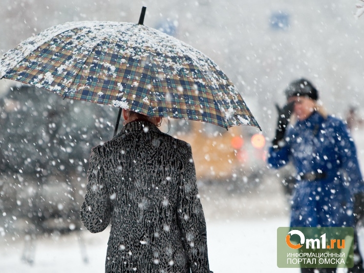В Омске с 4 ноября ожидаются снегопады и похолодание