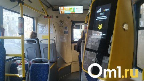 Дополнительные автобусы для развоза граждан после VK Fest разместят у парка «Арена» в Новосибирске