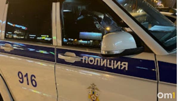 За убийство лося задержали 31-летнего браконьера в Новосибирской области