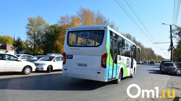 В Омской области выделили 167 миллионов на поддержку муниципальных маршрутов