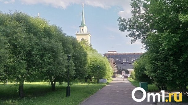Омичам советуют не гулять по скверам: город обрабатывают от клещей