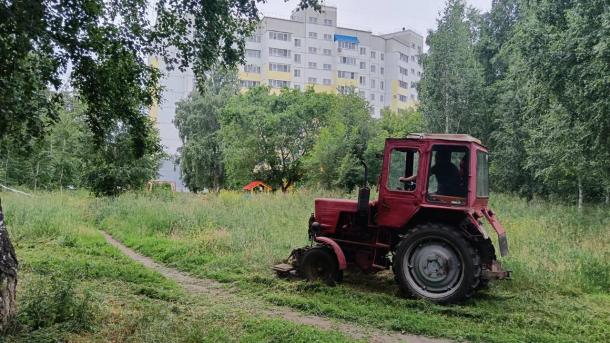 Подстригли уже больше 300 гектаров: мэрия рассказала, по каким адресам косят траву