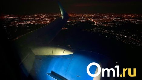 В московском аэропорту омичка отдала свои вещи незнакомцу из-за перевеса багажа
