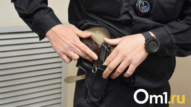 В Омск пытались незаконно пробраться шестеро иностранцев