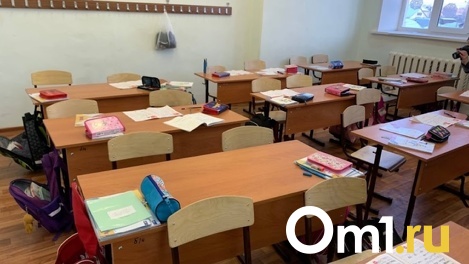 Протекает крыша, рушатся стены: руководство омской школы оштрафовали на 30 000 рублей