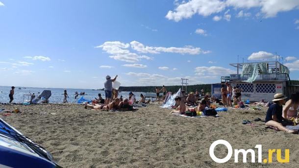 Короткая передышка: к середине недели в Новосибирск вернётся знойная жара