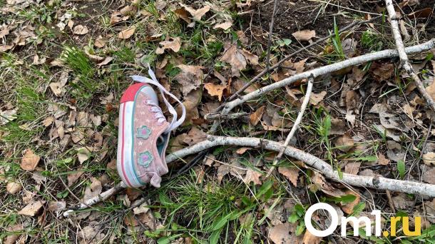 Омские полицейские ищут мальчика в футболке с пандой