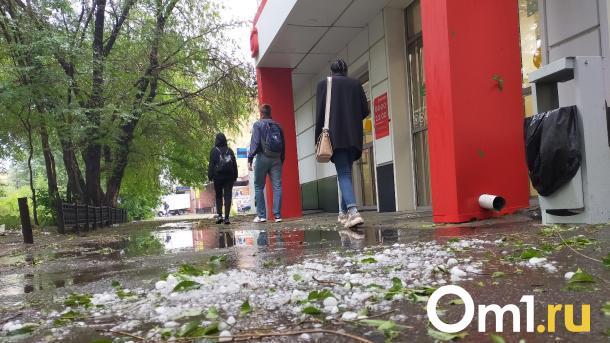 Жара в Омске сменится проливным дождём и сильным ветром до 25 м/с