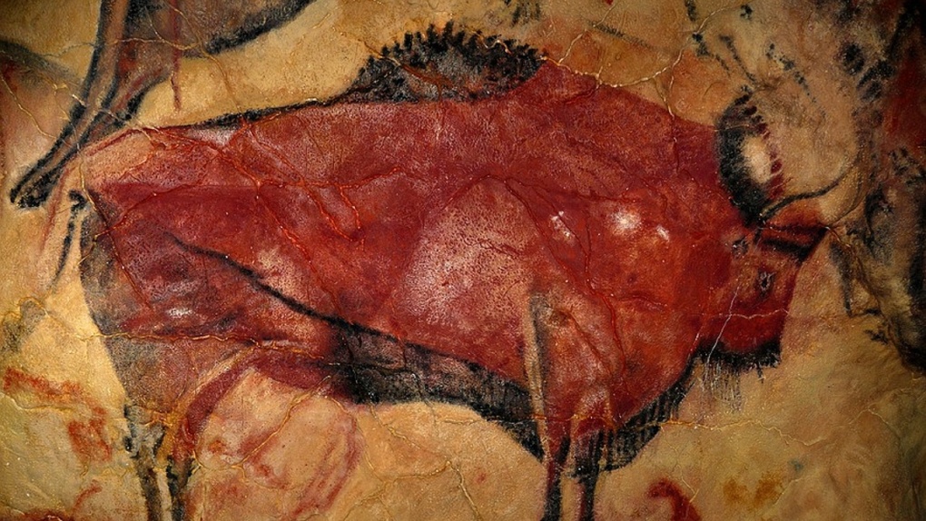 Предки бизонов. В Омской области нашли останки доисторических животных