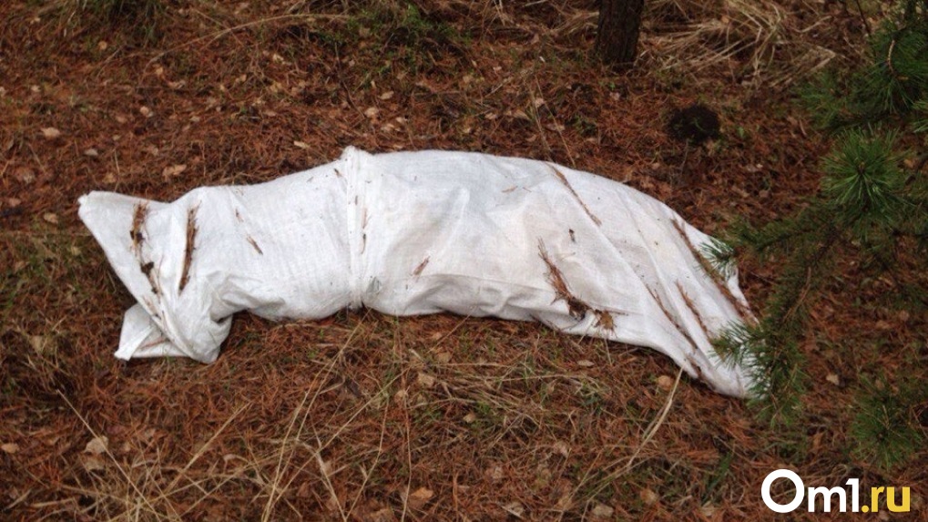 Лежал в погребе соседа. В Омске нашли тело мужчины, которого искали с осени прошлого года