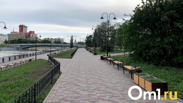 Омску нужна скамеечная реформа?