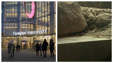 ТЦ «Галерея» под атакой грызунов: в центре Новосибирска услышали писк