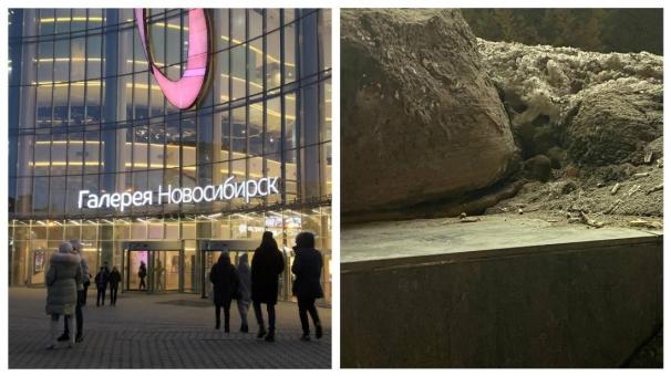 ТЦ «Галерея» под атакой грызунов: в центре Новосибирска услышали писк