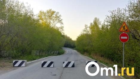 В Центральном округе Омска перекроют улицу на все выходные