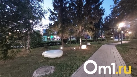 Обработка скверов и кладбищ от клещей в Омске начнётся в апреле