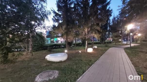 Обработка скверов и кладбищ от клещей в Омске начнётся в апреле