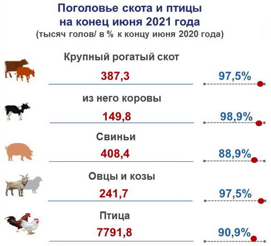 Самое большое поголовье крупного рогатого скота. Количество рогатого скота в 2020 году. Поголовье КРС становится меньше.