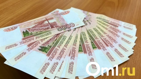 Группировка из 18 участников предстанет перед судом за хищение маткапитала в размере 83 миллиона рублей