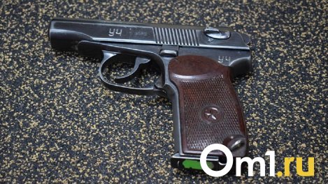 Омич 8 раз выстрелил в воздух и повредил чужой автомобиль
