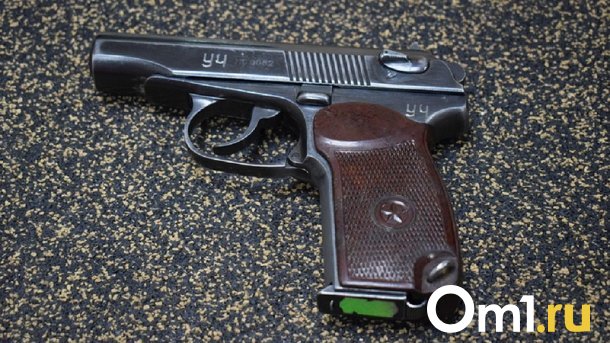 Омич 8 раз выстрелил в воздух и повредил чужой автомобиль