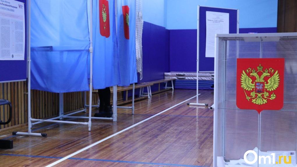 Облила бюллетени краской: жительницу Новосибирска задержали на выборах